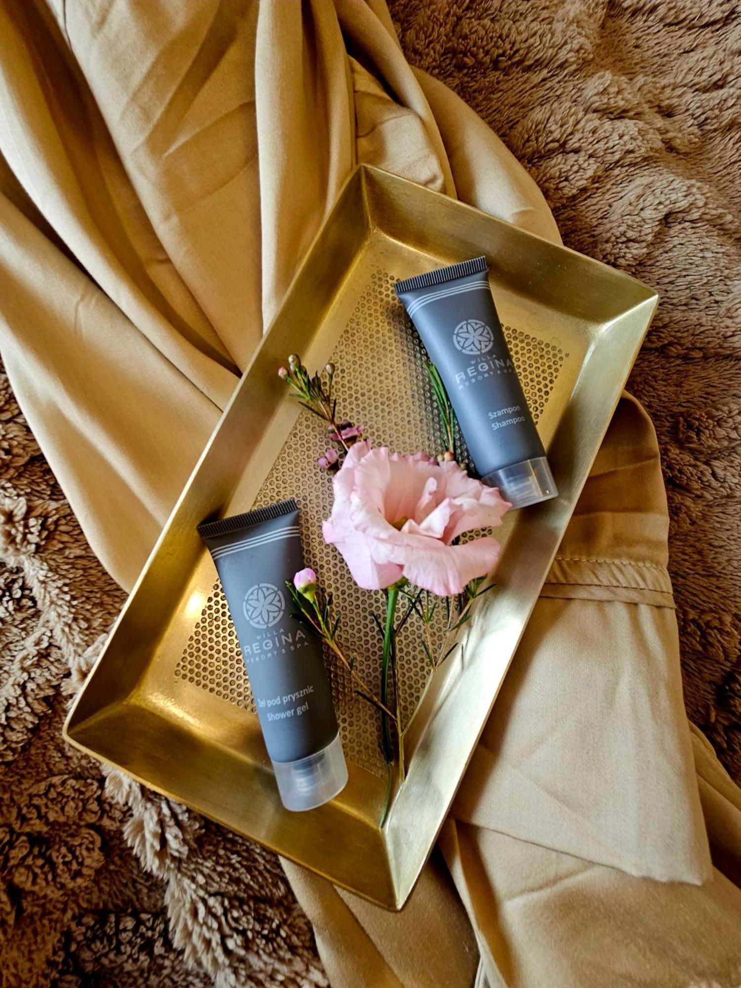 Willa Regina I Resort & Spa ザコパネ エクステリア 写真