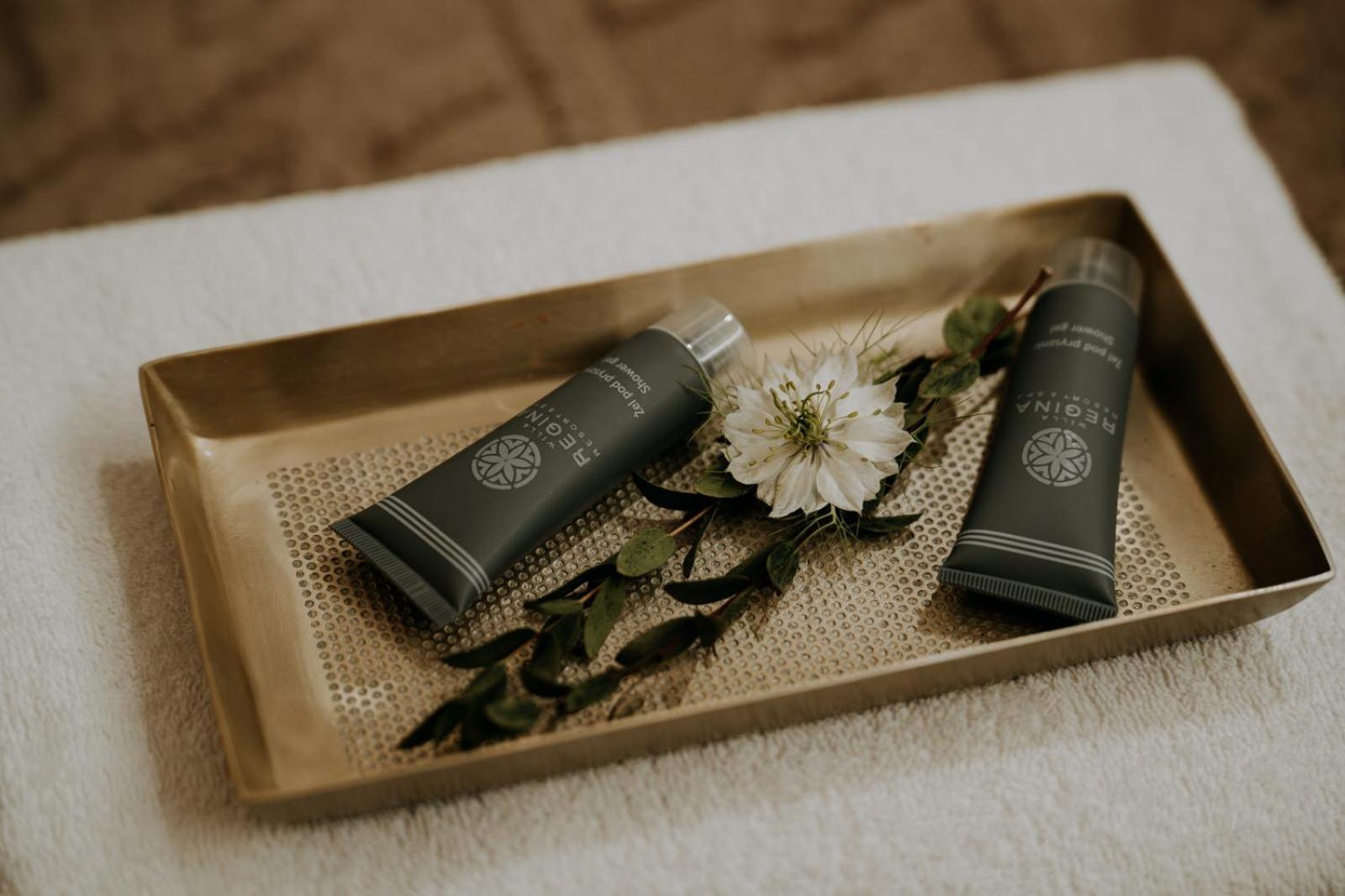 Willa Regina I Resort & Spa ザコパネ エクステリア 写真